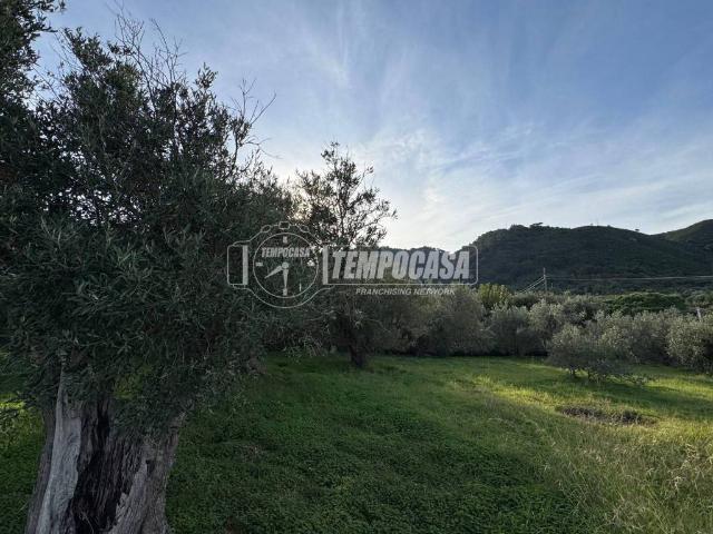 Terreno in vendita a VI Circoscrizione, Messina