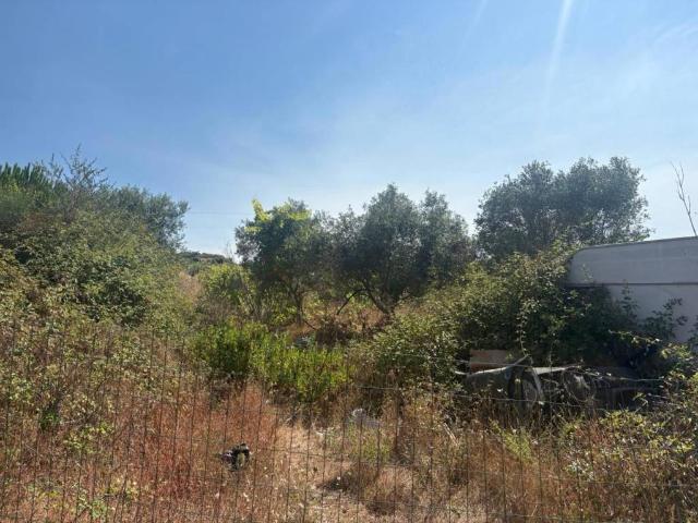 Terreno in vendita a VI Circoscrizione, Messina