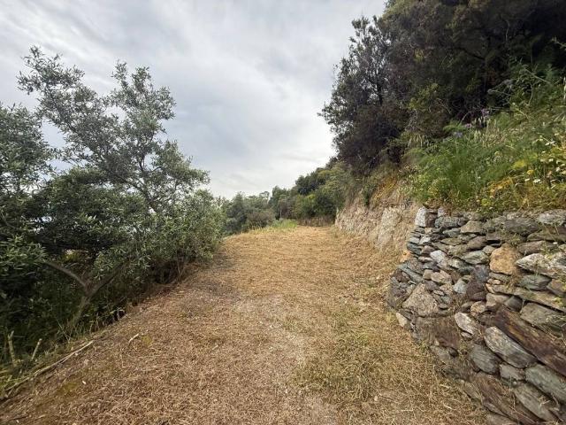 Terreno in vendita a Zinni, Messina
