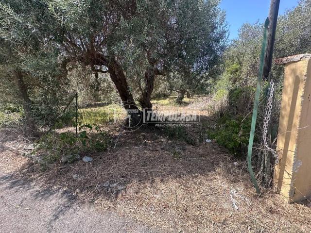 Terreno in vendita a VI Circoscrizione, Messina