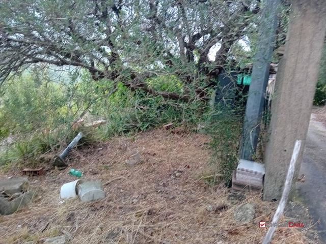 Terreno in vendita a VI Circoscrizione, Messina