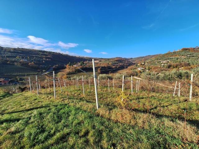 Terreno in vendita a Mezzane Di Sotto, Veneto