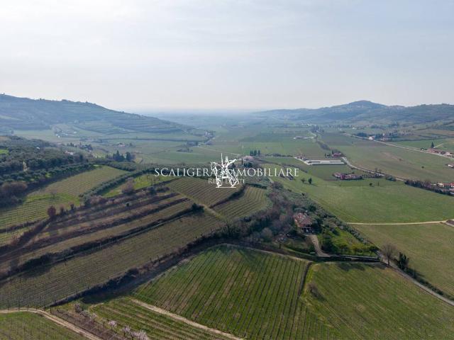 Terreno in vendita a Mezzane Di Sotto, Veneto