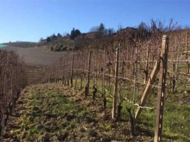 Terreno in vendita a Piemonte, Novara