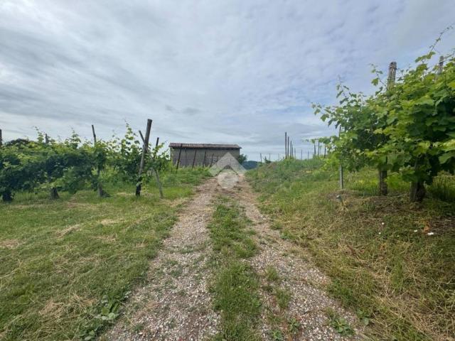 Terreno in vendita a Pieve del Grappa, Valdobbiadene