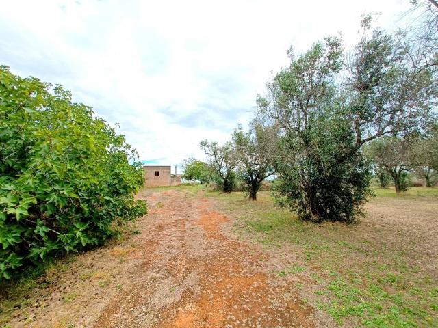 Terreno in vendita a Puglia, Lecce