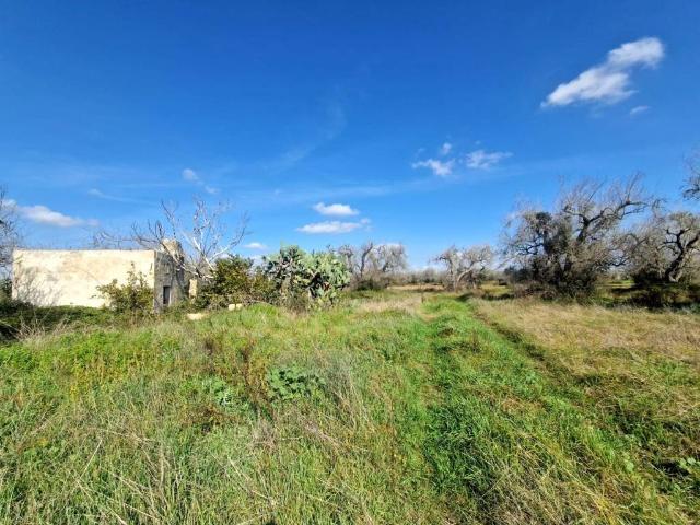 Terreno in vendita a Puglia, Lecce