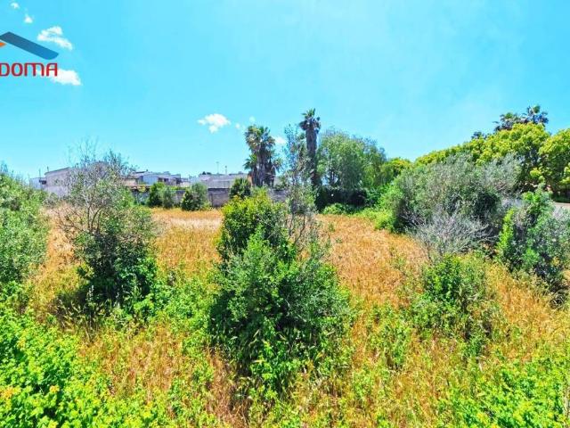 Terreno in vendita a Puglia, Lecce