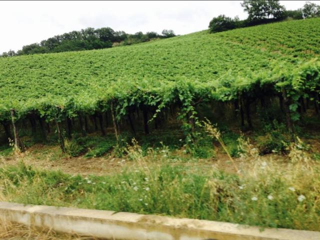 Terreno in vendita a Miglianico Di Chieti, Abruzzo