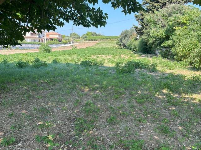 Terreno in vendita a Miglianico Di Chieti, Abruzzo