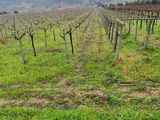 Terreno in vendita a Miglianico, Chieti