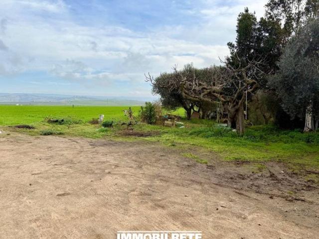 Terreno in vendita a Miglionico, Basilicata