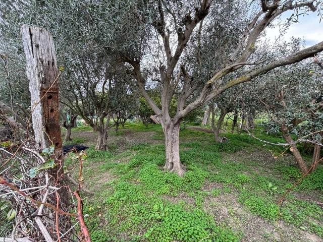 Terreno in vendita a Casazza, Milazzo