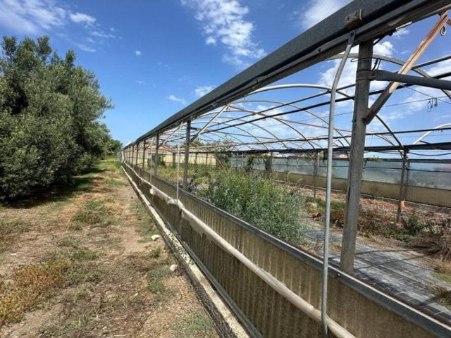 Terreno in vendita a Santa Marina, Milazzo