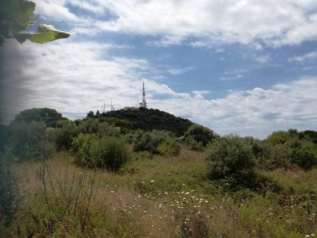 Terreno in vendita a Trinità, Milazzo