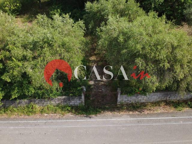 Terreno in vendita a Militello Rosmarino, Sicilia
