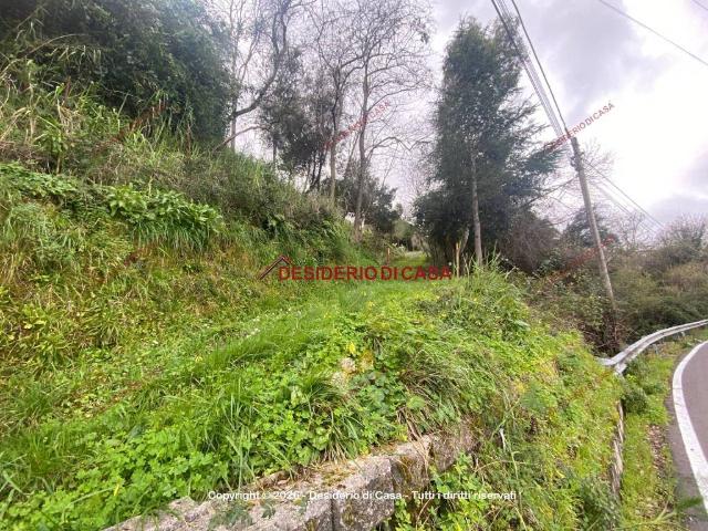 Terreno in vendita a Militello Rosmarino, Sicilia