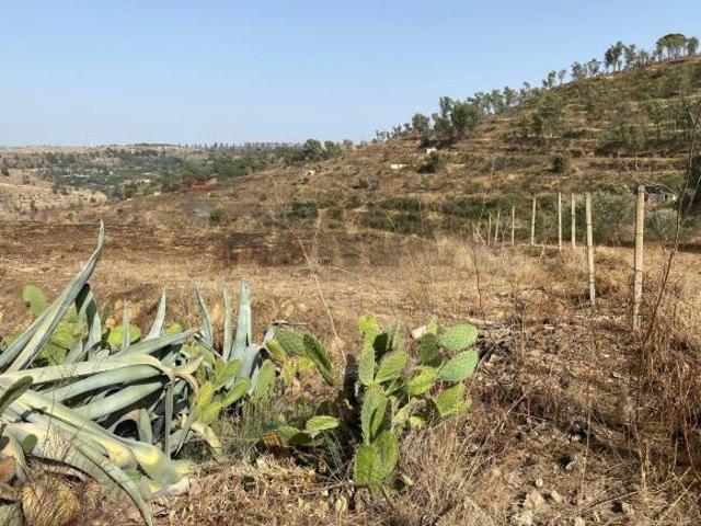 Terreno in vendita a Mineo, Sicilia