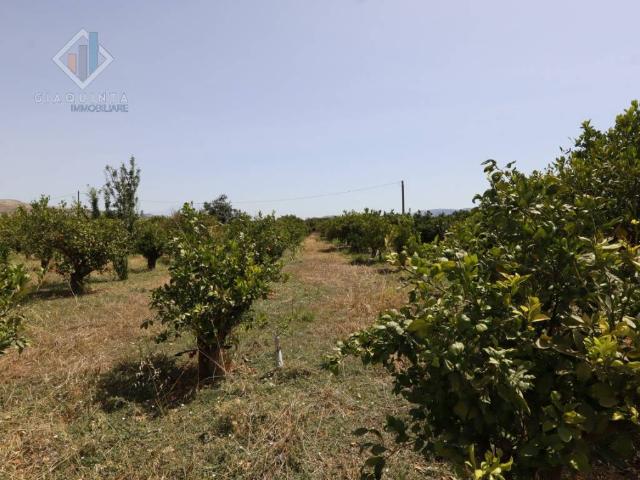 Terreno in vendita a Mineo, Sicilia