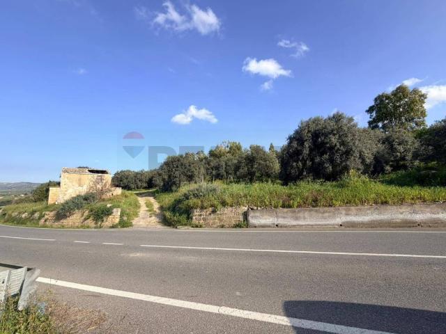 Terreno in vendita a Mineo, Sicilia