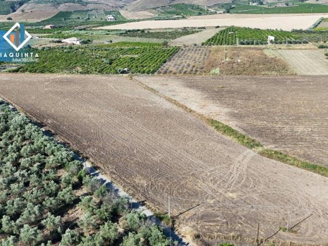 Terreno in vendita a Mineo, Sicilia