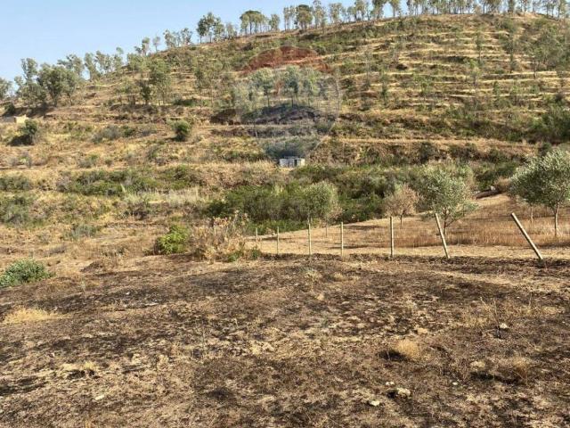 Terreno in vendita a Mineo, Sicilia