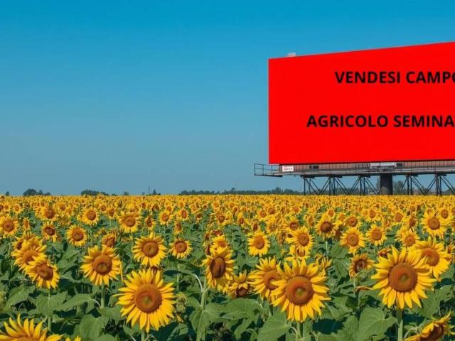 Terreno in vendita a Minerbe, Veneto