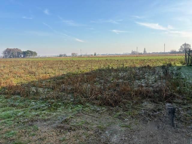 Terreno in vendita a Minerbe, Veneto