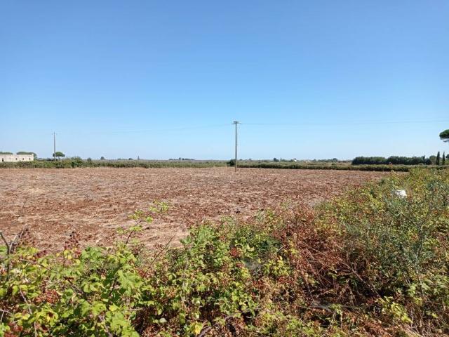 Terreno in vendita a Puglia, Lecce
