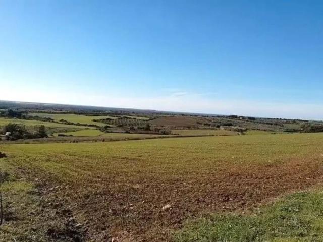 Terreno in vendita a Puglia, Barletta-andria-trani