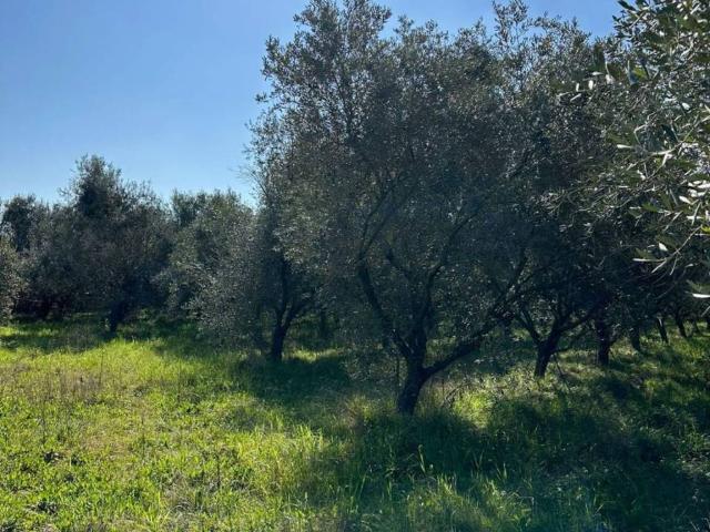 Terreno in vendita a Minturno, Lazio