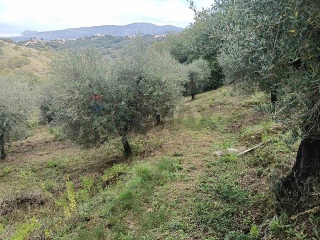 Terreno in vendita a Minturno, Lazio