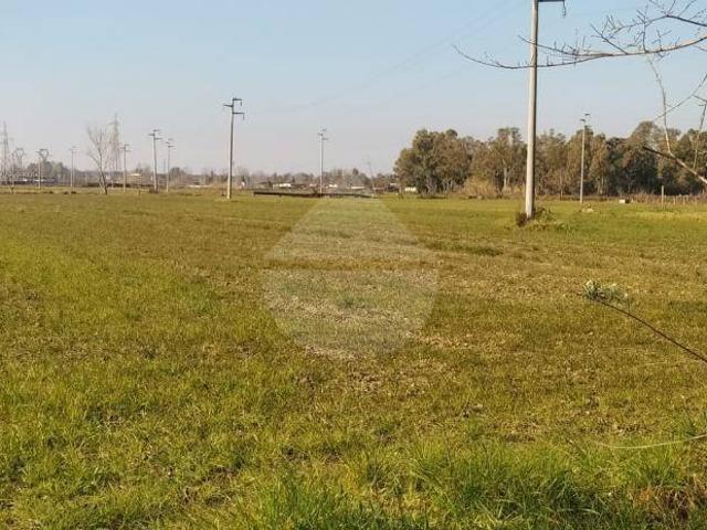 Terreno in vendita a Fontana Perrelli, Minturno