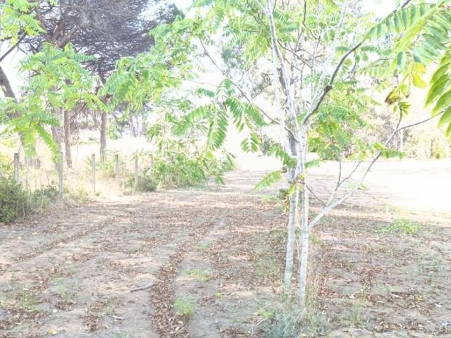 Terreno in vendita a Monte d'Argento, Minturno