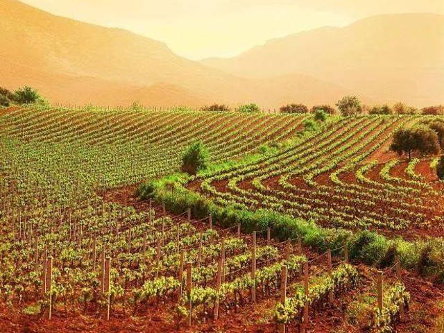 Terreno in vendita a Giare, Gambarare