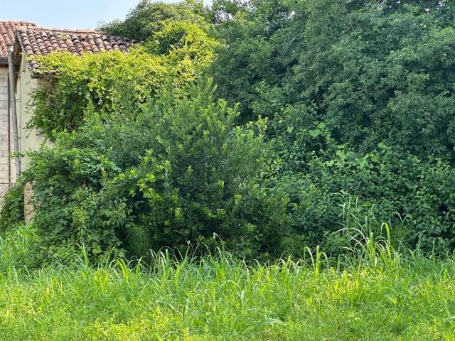 Terreno in vendita a Mira Taglio, Veneto