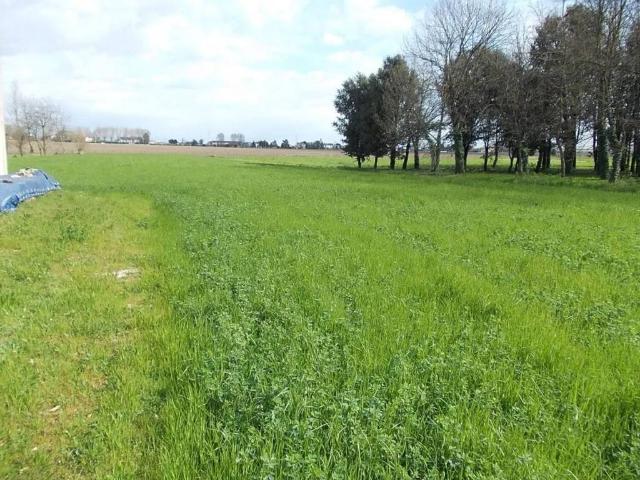 Terreno in vendita a Mira, Veneto