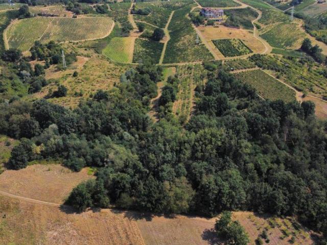 Terreno in vendita a Miradolo Terme, Lombardia