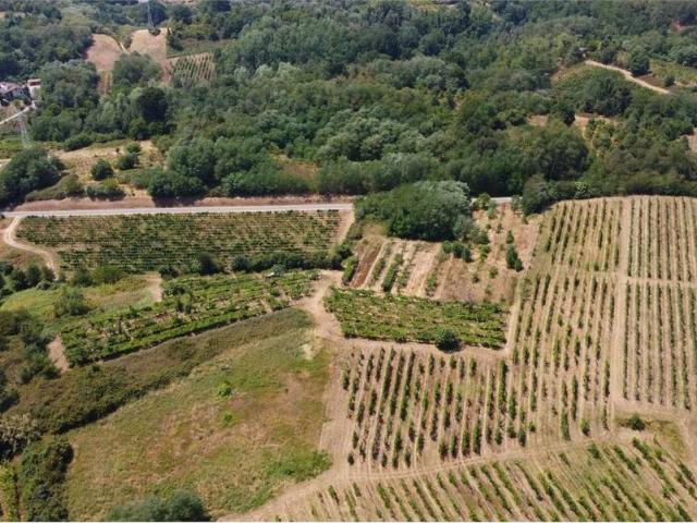 Terreno in vendita a San Colombano Al Lambro, Lombardia
