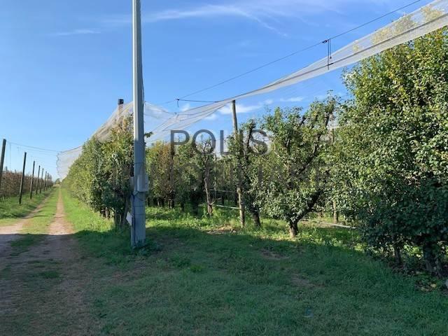 Terreno in vendita a Unione Comuni Modenesi Area Nord, Mirandola
