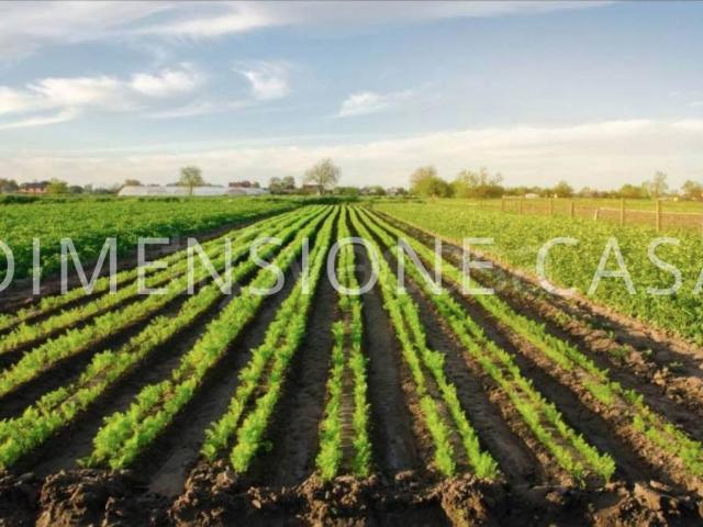 Terreno in vendita a Unione Comuni Modenesi Area Nord, Mirandola