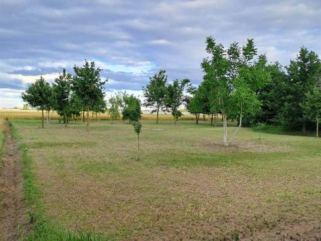 Terreno in vendita a Unione Comuni Modenesi Area Nord, Mirandola