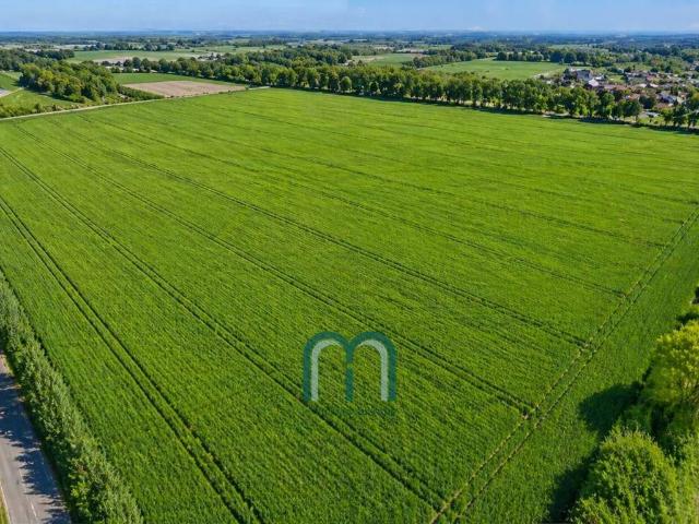Terreno in vendita a Mirano, Veneto