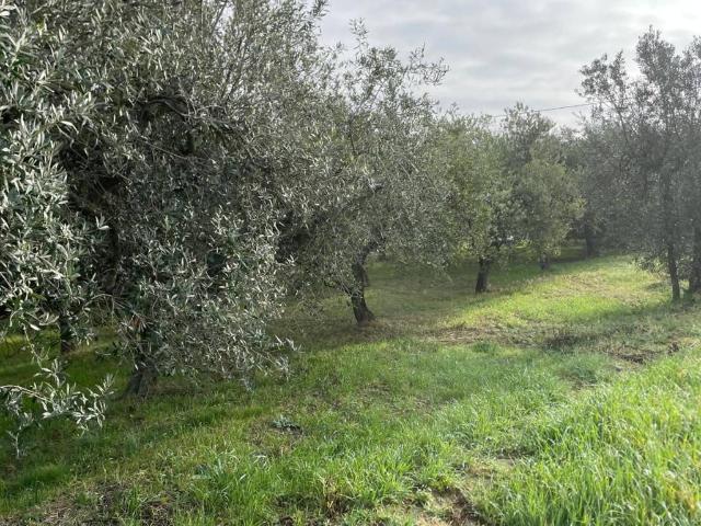 Terreno in vendita a Misano Adriatico, Reggio Emilia