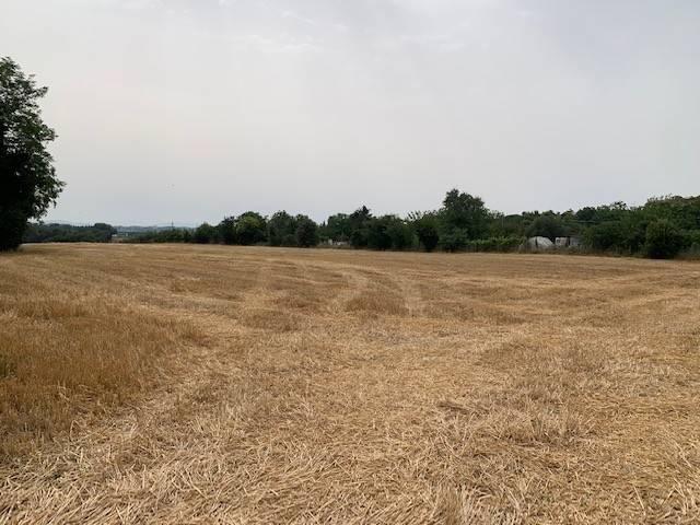 Terreno in vendita a Belvedere, Misano Adriatico