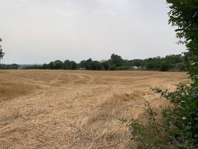 Terreno in vendita a Belvedere, Misano Adriatico