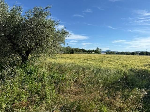 Terreno in vendita a Misano Adriatico, Reggio Emilia