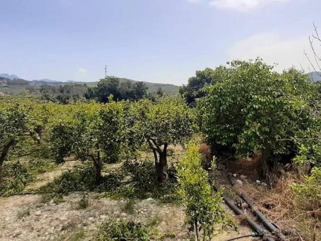 Terreno in vendita a Misilmeri, Sicilia