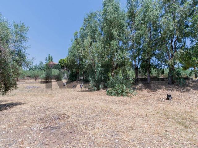 Terreno in vendita a Misilmeri, Sicilia