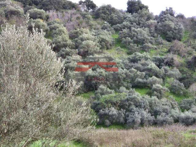 Terreno in vendita a Misilmeri, Sicilia